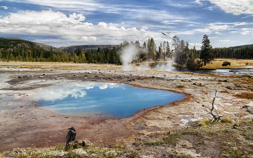 Raven, Osprey, and Bison were in the near vicinity and added to the scene.
